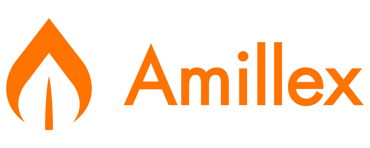 Amillex-Logo_EN-png