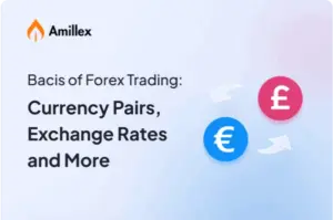 Read more about the article Bacis of Forex Trading: Currency Pairs, Exchange Rates and More​