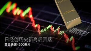 Read more about the article Amillex每日汇评：日经创历史新高后回落，黄金跌破4200美元