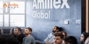 Read more about the article 聚焦全球市场趋势 —— Amillex 马德里投资者交流会圆满落幕​